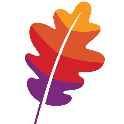 Apache NiFi icon