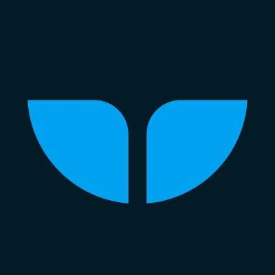 Whalesync logo
